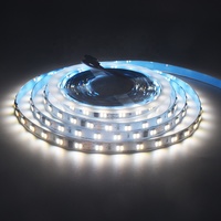 Bande lumineuse LED RGBCCT adressable DC24V 60LEDs/m Largeur du circuit imprimé 10MM SMD5050 FW1906 IC Bande lumineuse LED 10Pixels/M Pixels Bande lumineuse LED