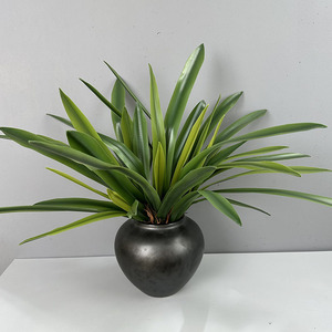 Feuilles de <span class=keywords><strong>Jacinthe</strong></span> en Caoutchouc Doux au Toucher, Feuilles de Clivia, Feuilles d'<span class=keywords><strong>Orchidée</strong></span>, Décoration Florale pour Salon, <span class=keywords><strong>Orchidée</strong></span> à Bord Blanc - Product Image 3