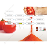 Hoge Kwaliteit Tomatenpuree Saus Ketchup Jam Poeder Verwerking Machine Productielijn