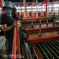 Machines industrielles pour bois, panneaux de production, ligne de fabrication, fournisseurs de machines