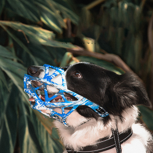 Bozales Tácticos Transpirables para Perros de Fabricantes, Suministros para Mascotas, Bozales Tipo Jaula Incluidos - Product Image 2