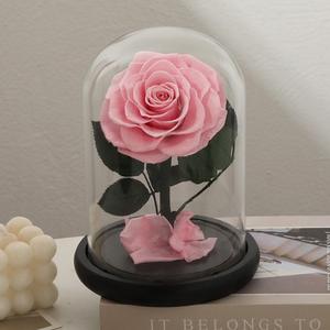 Rosas Eternas Preservadas en Cúpula de Cristal para Regalo de San Valentín/Navidad y Graduación 2026, Venta al Por Mayor - Product Image 5