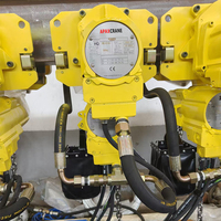 Nouvelle grue à chaîne pneumatique APAX CRANE 220V, capacité de levage de 5 tonnes, protection IP65, télécommande pour utilisation en atelier