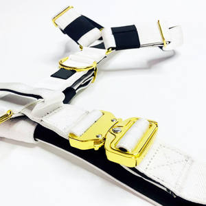 Set Pettorina da Combattimento di Alta Qualità 2024 con Collare e Guinzaglio Morbidi Imbottiti e Regolabili per Cani - Product Image 4