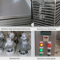 Four de séchage économique à circulation d'air chaud en acier inoxydable, contrôlé par PLC, pour citrouilles, tournesols, graines de coton, type plateau, déshydrateur de fruits