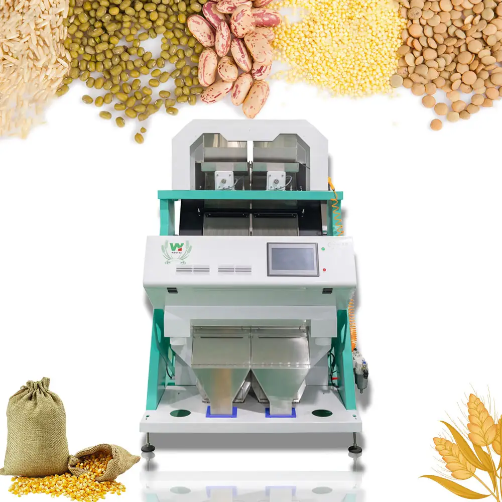 Máquina classificadora de cores de peanut wenyao, 2 chutos, para descascar peanuts