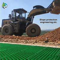 Grille de pavage en plastique HDPE pour gazon, pavés perméables pour drainage et utilisation en jardin, stabilisateur de gravier