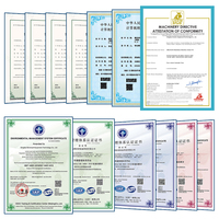 Presse hydraulique robuste Y41-200T 200T à cadre en C avec table de travail personnalisable en option
