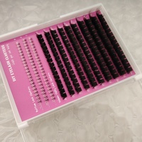 Faux Cils en Touffes Individuelles Étiquette Privée Personnalisée DIY Cils Effet Volume avec Bases