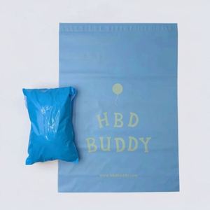 Bolsa de Envío Mate Azul Cielo, Bolsa de Correo Negra Mate con Protección UV, Bolsas de Correo Personalizadas, Sobres de Poliéster, Embalaje de Envío Personalizado - Product Image 1