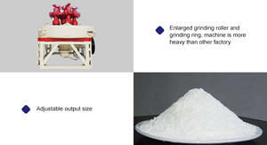 โรงงานแยกผงยิปซั่มสำหรับอุตสาหกรรมแร่ - Product Image 4