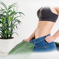 Patch Minceur Ventre Plat en Promotion avec Vitamines C & E, Soulagement de la Douleur et Oxygénation, Tissu Non-Tissé Herbal, Modèle de Marque OEM