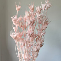 Anis étoilé naturel séché en forme d'octogone pour bouquets et décorations de mariage, idéal pour la fête des Mères, la Saint-Valentin et les cérémonies de remise des diplômes