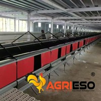 Équipement d'alimentation pour élevages avec système de mangeoires de précision pour l'aménagement moderne des poulaillers