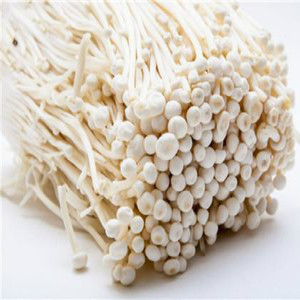 Extrait de <span class=keywords><strong>champignon</strong></span> Enoki de haute qualité, polysaccharide naturel, qualité alimentaire, testé HPLC/UV, partie fruitée utilisée, certifié Halal, en poudre - Product Image 3