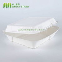 Boîte alimentaire carrée jetable écologique en bagasse, type clamshell, 9x9 pouces, résistante à la graisse et aux fuites, pour plats à emporter