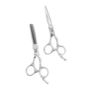 Bộ kéo cắt tóc chuyên nghiệp 6 inch bán buôn, thép không gỉ, kéo tỉa tóc dùng cho salon, nhận làm logo OEM tùy chỉnh - Product Image 1