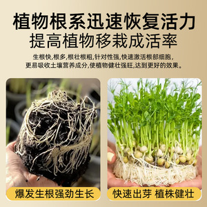 High Concentration <b>Root</b> Boosting Mother <b>Liquor</b> 140ml Plant Nutrient Solution For Vegetables And Flowers - Product Image 3