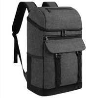 Sac à dos isotherme portable en aluminium avec bandoulière, capacité 24L, pour pique-nique, champagne, bière - Conception pliable et durable