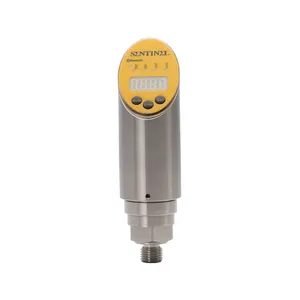 Compact Digital Gas Pressure Sensor For Precision Monitoring