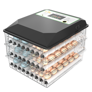 이중 전력 공급 가금류를 위한 높은 부화 비율 192 수용량 계란 부화기 - Product Image 3