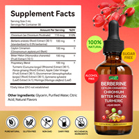 Gouttes de berbérine personnalisées Lenm, melon amer, chrome, curcuma pour le soutien digestif, compléments énergétiques à base de plantes