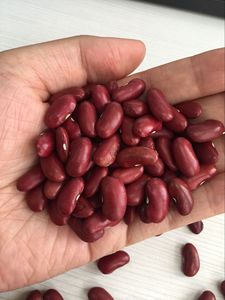 Nihewan alta calidad crudo seco Fagioli Rossi frijol rojo oscuro al por mayor frijoles rojos - Product Image 6