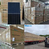 Module solaire bifacial à double verre Trina 640W 645W 650W, panneau solaire demi-cellule 625W 630W 635W 640W 650W, bifacial TSM-NEG19RC.20