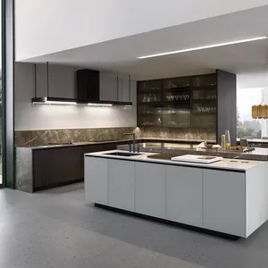 Ev Bar modüler mutfak dolap kapağı ve depolama rafı cam son çıkan büyük açık Modern özelleştirilmiş renk Db-k1004