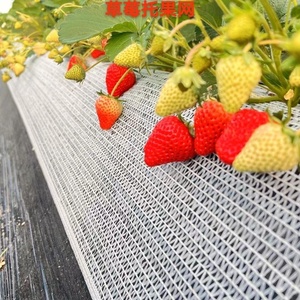 Malla antigranizo blanca de HDPE 100% virgen de 50GSM, 4*100m, para agricultura, huertos y viñedos - Product Image 1