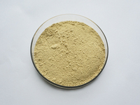 Kualitas tinggi ekstrak akar Astragalus ekstrak bubuk Astragalosides