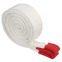 맞춤형 리프팅 장비 끝없는 유형 슬링 견인 스트랩 리프팅 벨트 좋은 가격 - Product Image 4