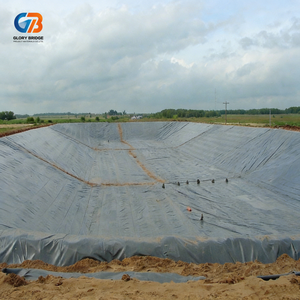 Geomembrana de HDPE Resistente a Químicos para Estanques de Lodos y Recintos de Estiércol de Ganado - Product Image 5