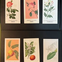 Carte de parfum personnalisée de haute qualité, carte de test de parfum, carte d'absorption d'encre de parfum, matériau d'absorption d'eau, impression couleur