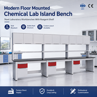 Mesa de Laboratorio Químico Moderna Resistente a Ácidos, Montada en el Suelo, con Estante para Reactivos