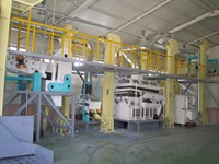 Machine à décortiquer les graines de sésame, ligne de traitement des graines de sésame, machine de nettoyage des graines de sésame sèches