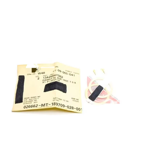 CONTROLS 13A2654X062 (2er-Pack) NSMP Neu Original Sofort Lieferbar Industrielle Automatisierung PLC Programmiersteuerung - Product Image 1