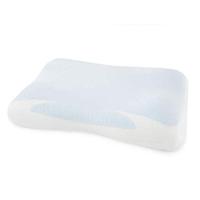 Oreiller en mousse à mémoire de forme rafraîchissante pour dormir avec housse zippée lavable, taille standard