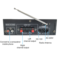 AV298 2 Kanallı HIFI Araç Güç Amplifikatör Kartı, Çift Mikrofonlu Reverb Özellikli