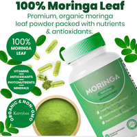 Vente en Gros Thé de Feuilles de Moringa Bio Pur, Gélules de Poudre de Moringa, Extrait Naturel de Plantes de Feuilles de Moringa OEM