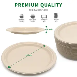 Customizable 10 Inches Greaseproof And Microwavable Eco Friendly Biodegradable Plate Bagasse Plate Disposable Paper Plates