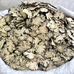 Extracto de Ligusticum chuanxiong |   Vasodilatador Natural y Soporte para la Salud Circulatoria para Suplementos Dietéticos, Fórmula para la Salud del Corazón - Product Image 4