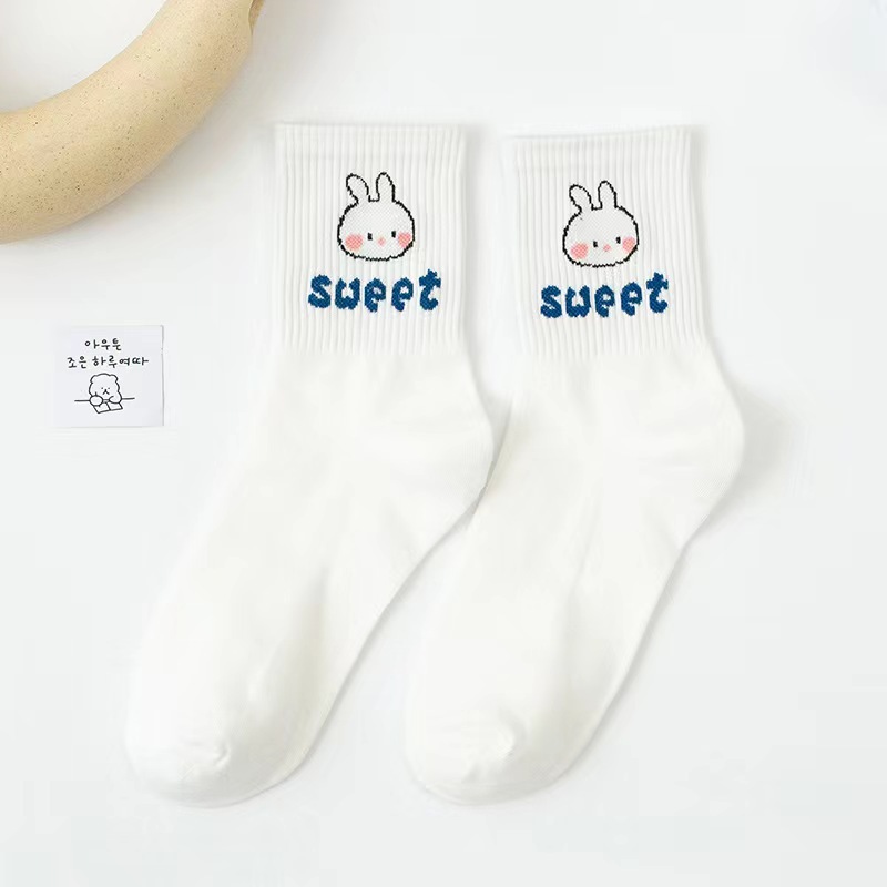rabbit
