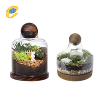 Terrarium rond en verre galvanisé fait main moderne avec base en bois pour la décoration de la maison et du jardin, récipient pour plantes d'intérieur