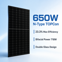 Module solaire bifacial à double verre 650W N-Type TOPCon Half Cut tout noir, efficacité 23,3%, certifié TUV IEC CE, panneau solaire 30 ans