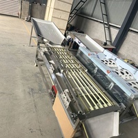 Commerciële fruit sorteermachine met rollen voor het sorteren van appels, sinaasappels, kersen, tomaten en kiwi's op maat voor fruitverwerkingsbedrijven