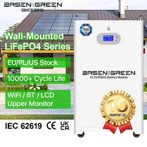 51.2V EU kho LiFePO4 pin 48V 15KW 300ah 230ah 100Ah treo tường năng lượng lưu trữ pin năng lượng mặt trời lưu trữ năng lượng - Product Image 1