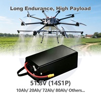 टीपीएनर्जी 51.8 वी 14s 72000mah 72आह ठोस-राज्य सॉफ्ट पैक लिपो बैटरी कृषि ड्रोन से लड़ने के लिए