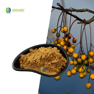 SLBIO Suministra Extracto de Saponina de Grado Cosmético 10:1, Polvo de Saponina de Nuez de Jabón - Product Image 1