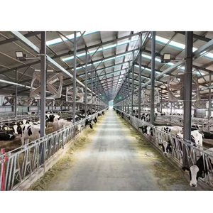 โรงเรือนเลี้ยงไก่สำเร็จรูป โครงสร้างเหล็ก ระบบอัตโนมัติ สำหรับฟาร์มไก่เนื้อ ขายในจอร์เจีย - Product Image 4